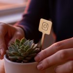 Manos cuidando suculenta con marcador de bronce con logo Instagram