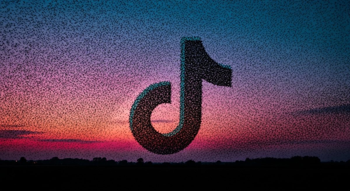 Nube de estorninos formando el logo de TikTok en el cielo