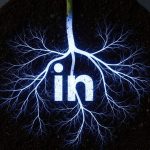 Sistema de raíces brillantes formando el logo de LinkedIn minimalist